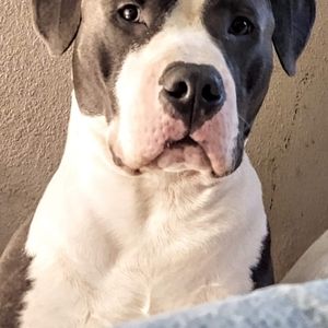 Meet your Posher, Christy